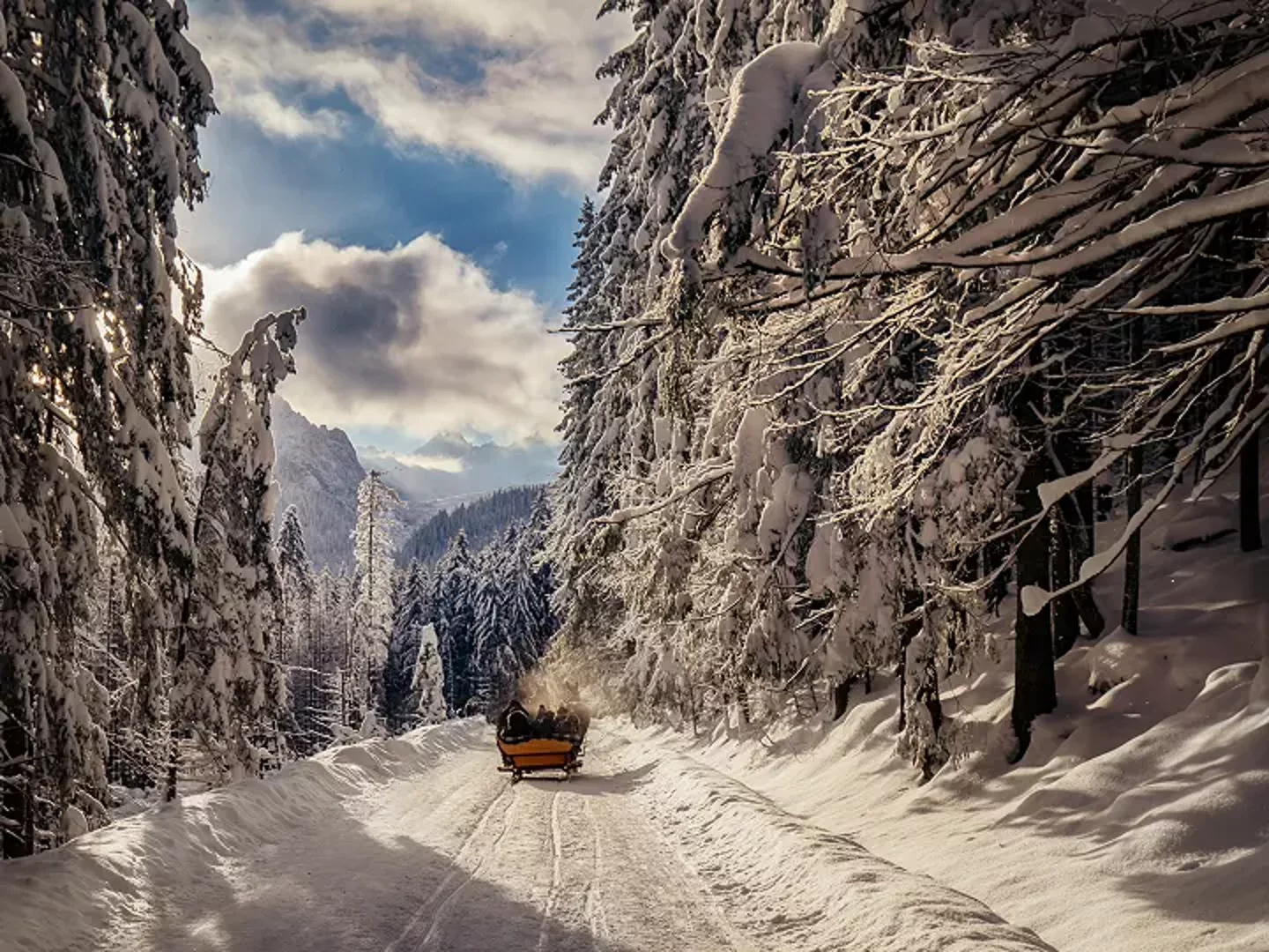 Zimowe Kuligi z pochodniami